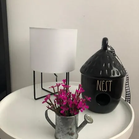 Nest In - Cardinal House